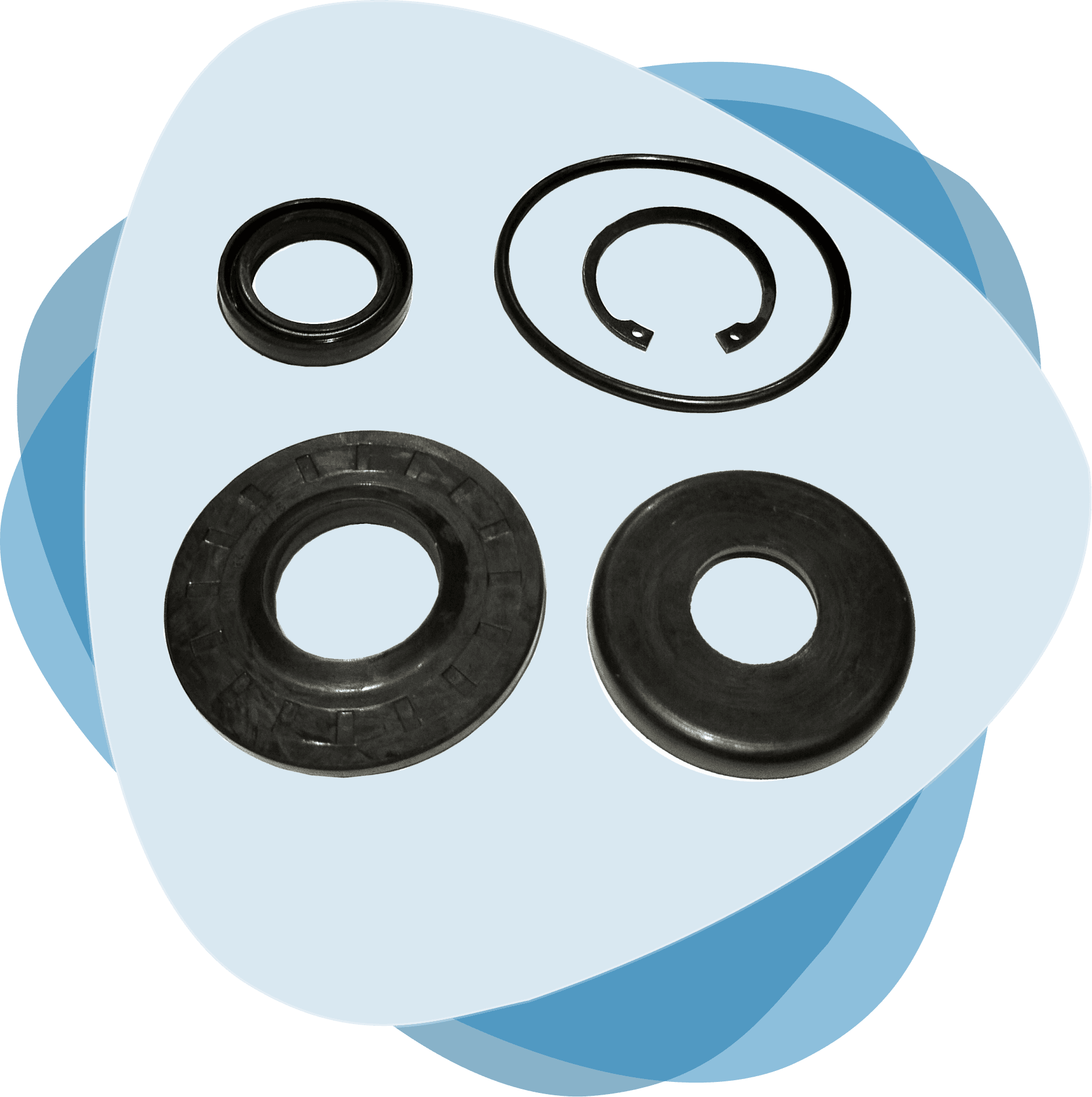 Oil Seals & ABS Rings - image 10