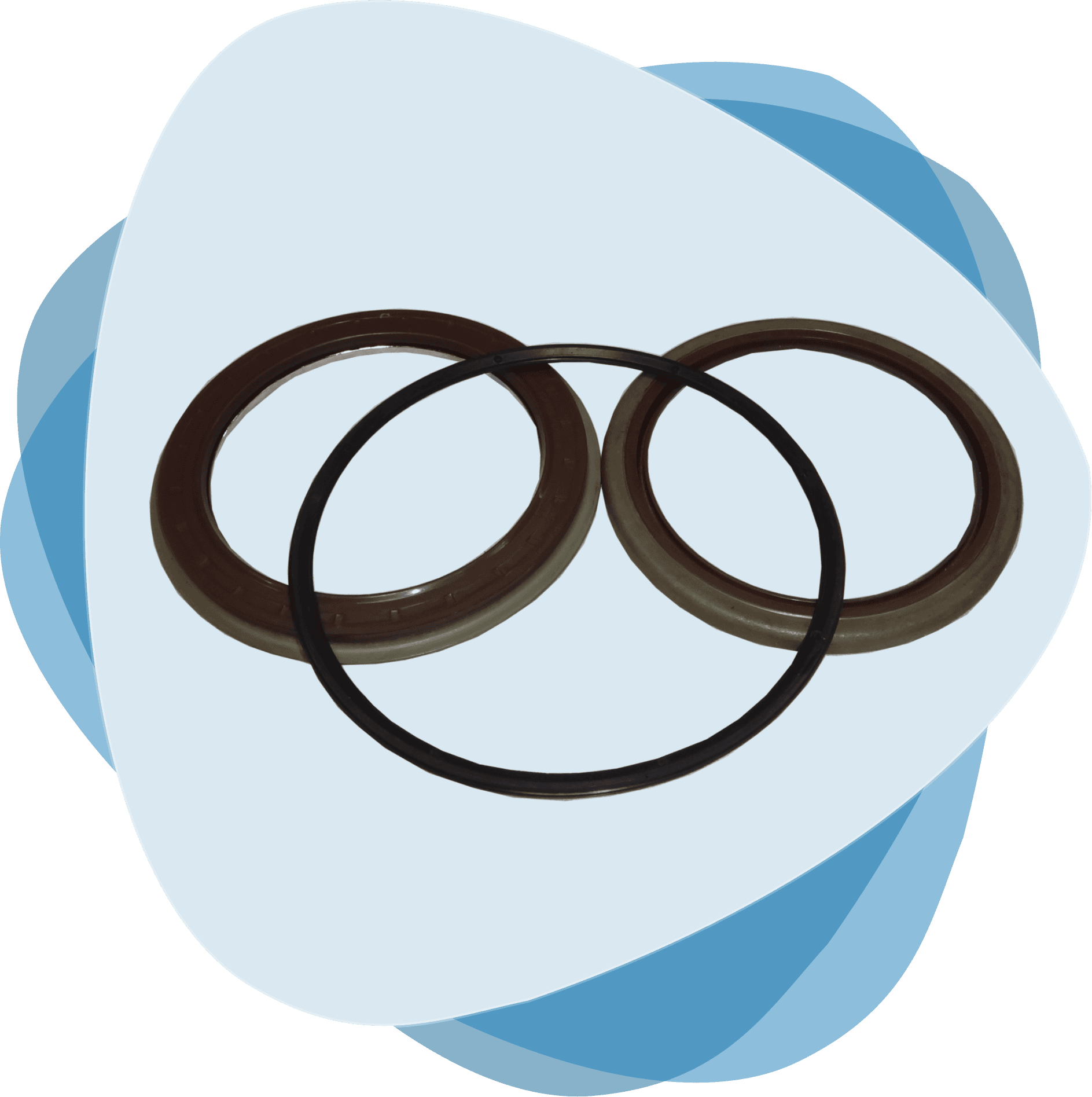 Oil Seals & ABS Rings - image 8