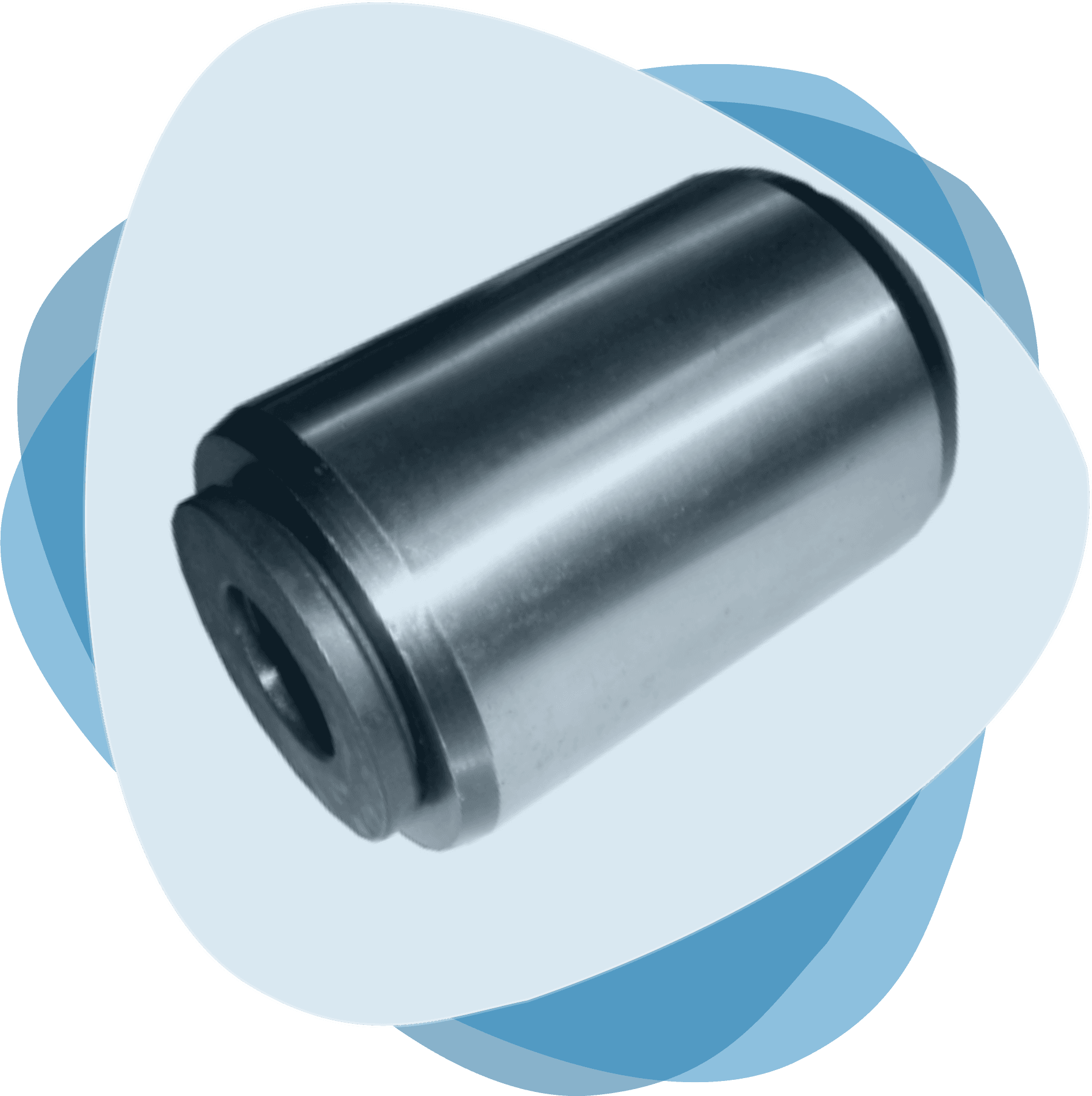 Pins & Bushes - image 4